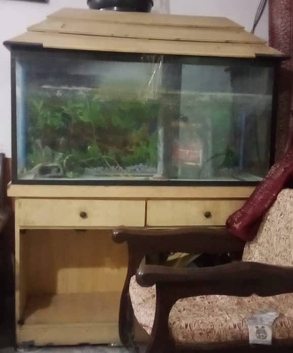 Aquarium for sale with accessories and imported stones 5