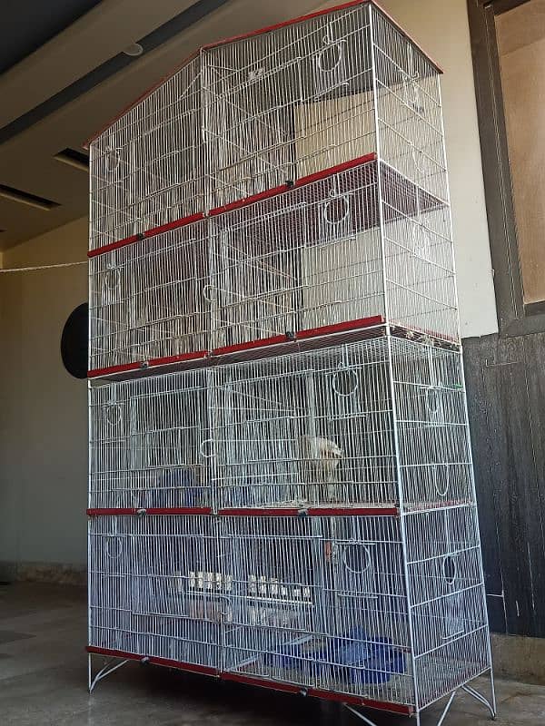 8 portion cage (2 months used only) 3