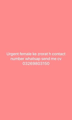 female ke argent Zrorat hy contact me Whatsap 03014711755