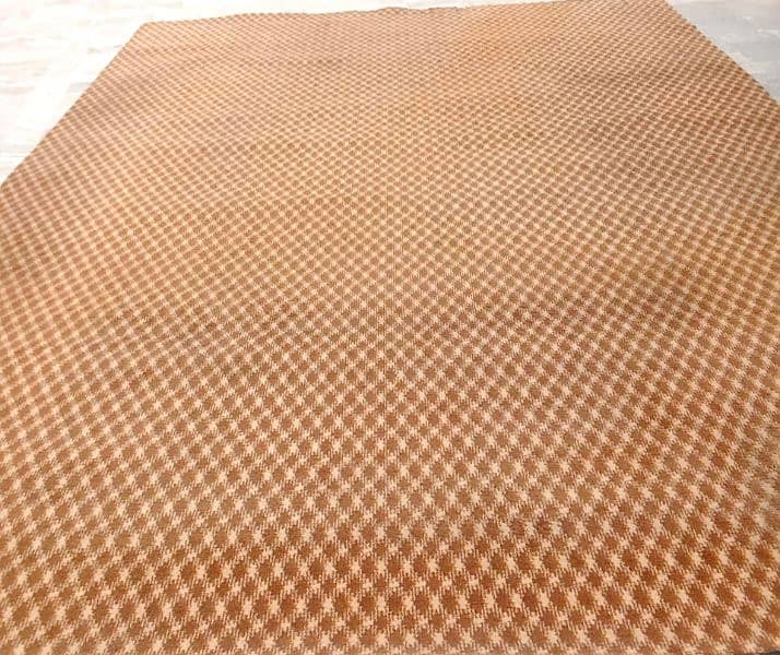 Carpet in Excellent condition 2