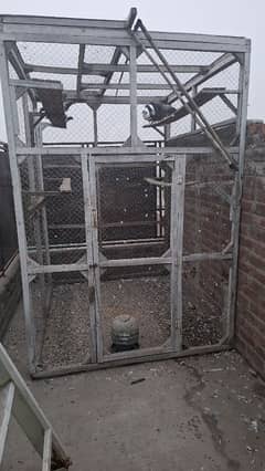 pigeon cage (Jafri)