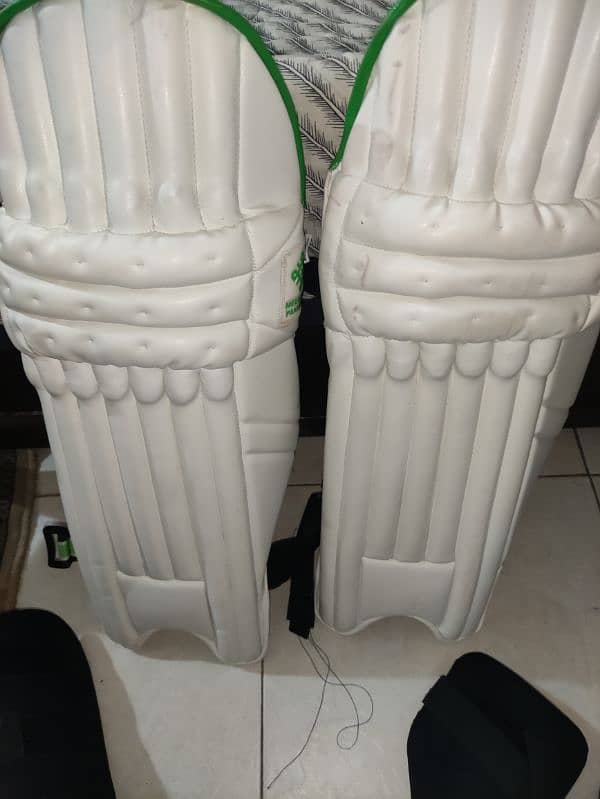 Cricket Kit- Original Brand new 3