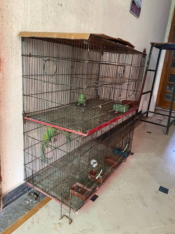 birds cage double portion 0