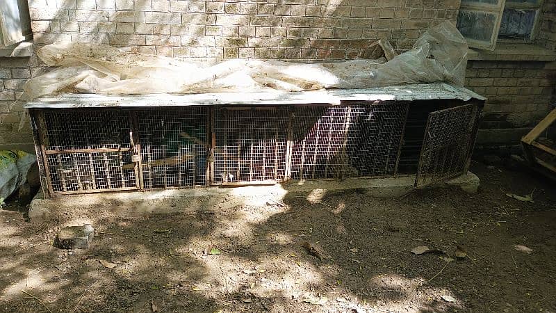 Big Size Hen Cages 0