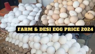 Desi Egg Available