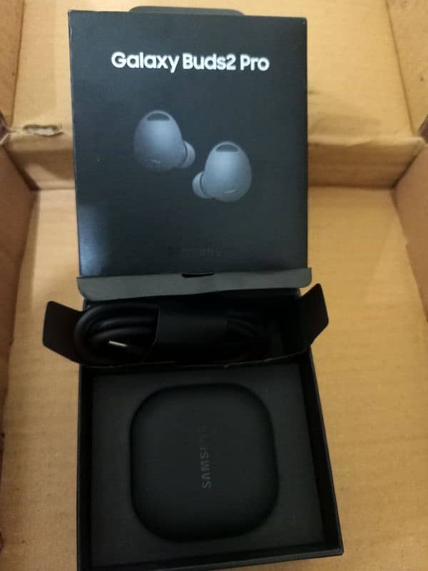 Galaxy Buds2 Pro Case 1