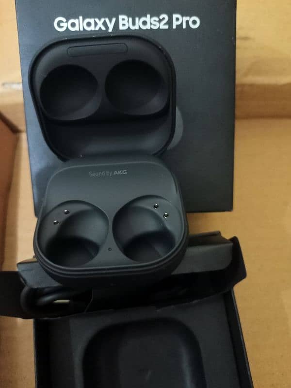 Galaxy Buds2 Pro Case 2