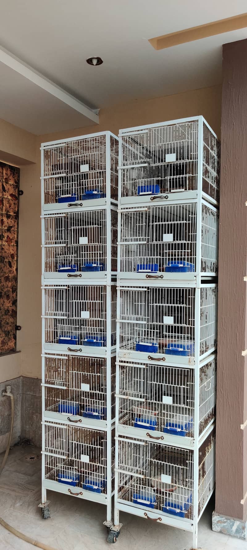 cage,Cage,Birds cage, Lovebird cage, accessories,box, wooden box, 8