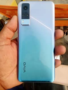 vivo