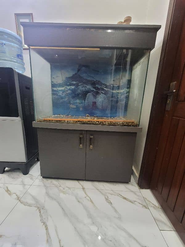 Aquarium For Sale In Karachi 1