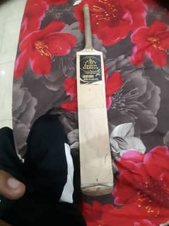 coconut bat urgent sale