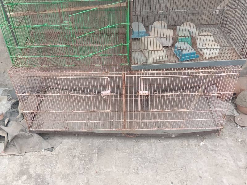 selling large cages for parrots/love birds 1