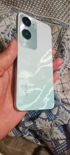 vivo