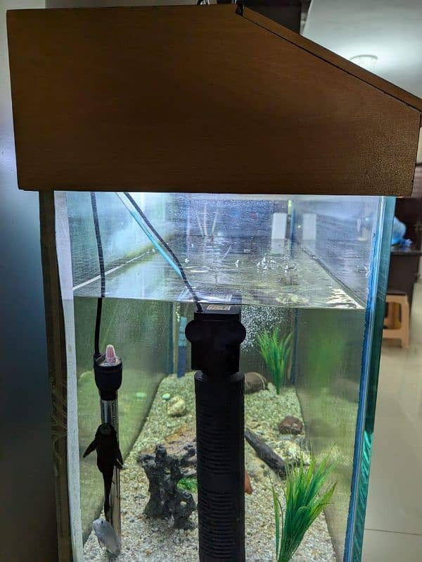 Fish Tank , Aquarium 2