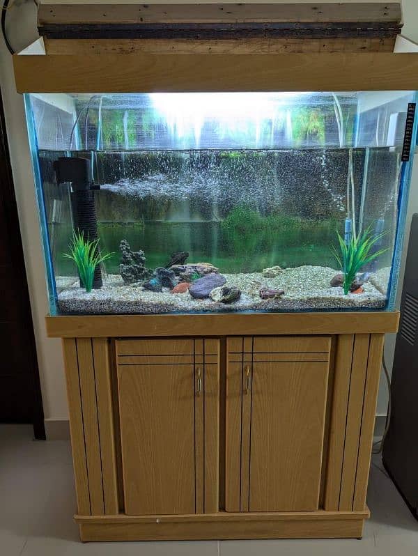 Fish Tank , Aquarium 6