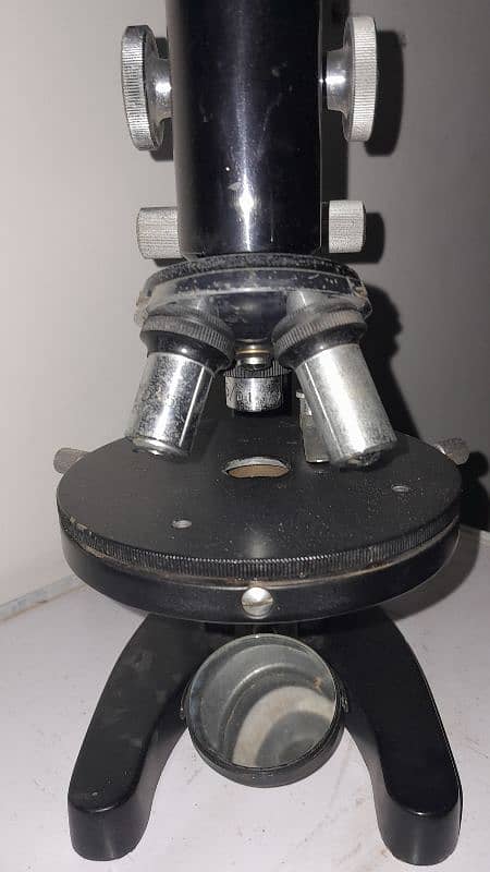 Microscope 6