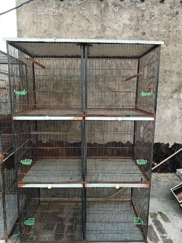 birds cage 1