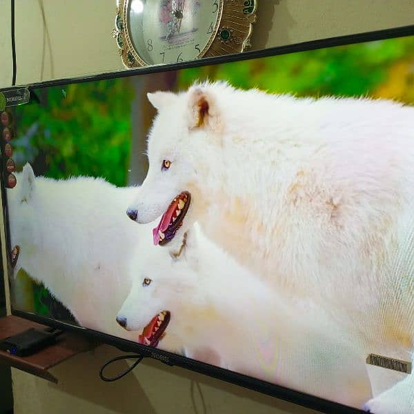 Nobel LED TV 40 Inch for sale in reasonable price 0