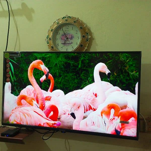 Nobel LED TV 40 Inch for sale in reasonable price 11