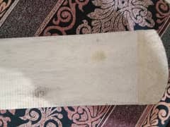 Wizal coconut wood bat in good condition