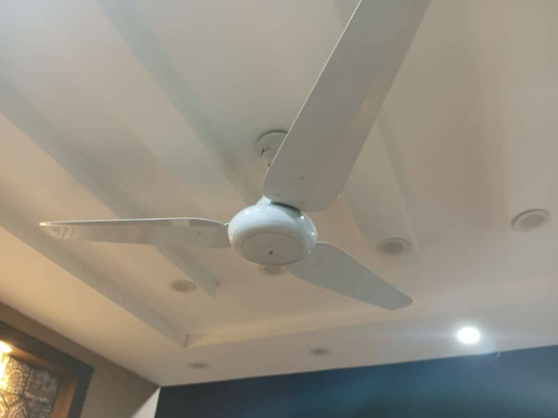 Fans in Brand New Condition 1