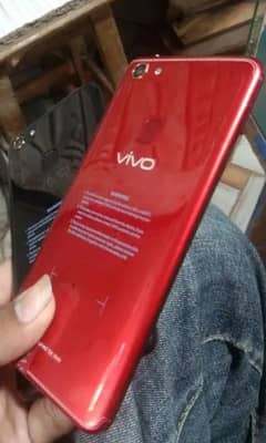 Vivo