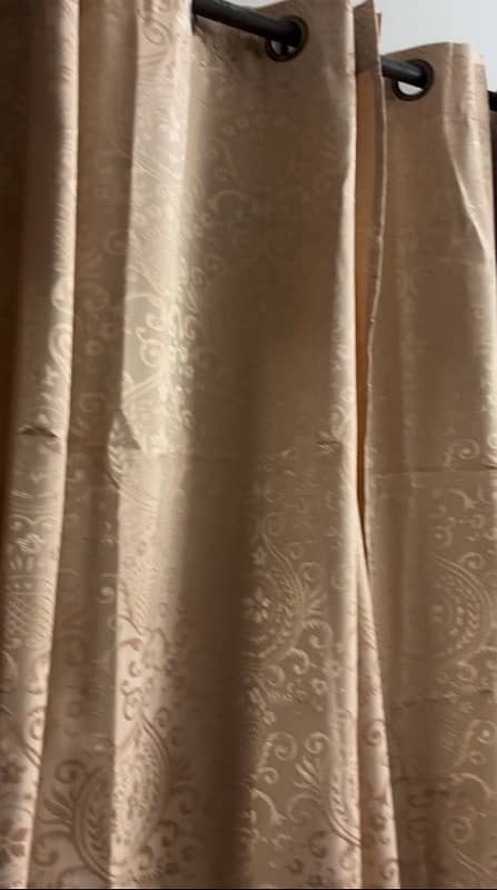 Golden Jaquard curtain available 0