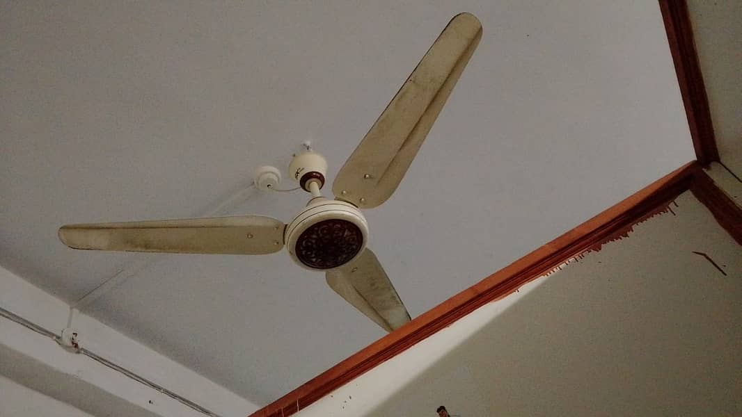 CEILING FANS, WALL FANS, PAK FANS, ROYAL FANS, FANS 0