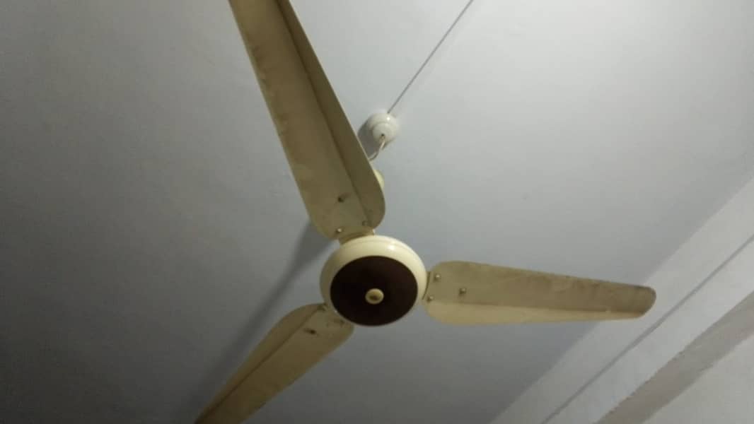 CEILING FANS, WALL FANS, PAK FANS, ROYAL FANS, FANS 1