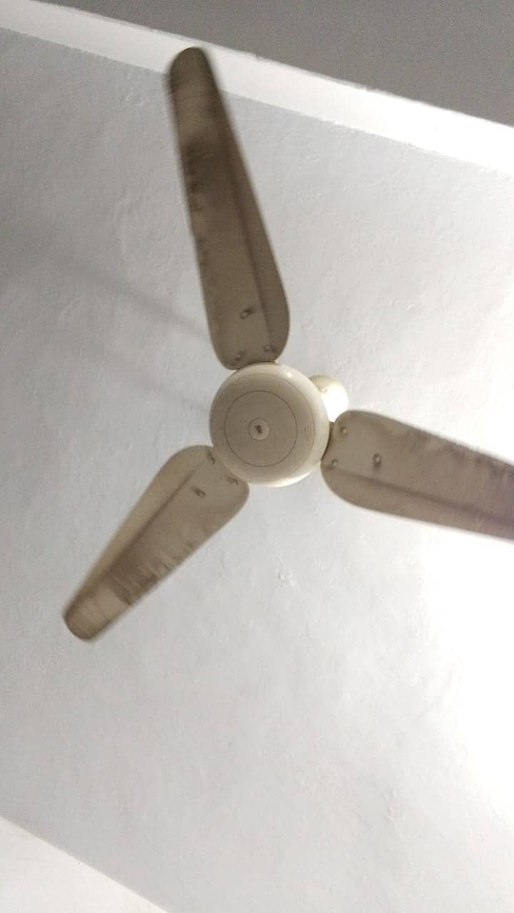 CEILING FANS, WALL FANS, PAK FANS, ROYAL FANS, FANS 4