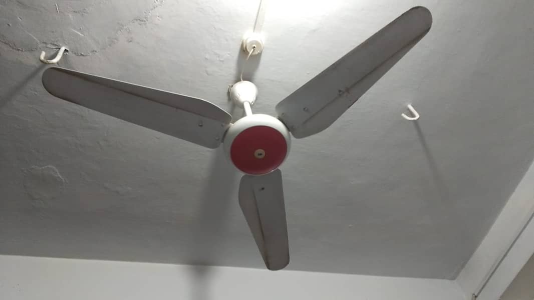 CEILING FANS, WALL FANS, PAK FANS, ROYAL FANS, FANS 5