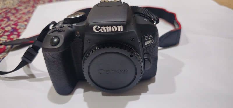 canon EOS 800D  lens 18-55mm 3