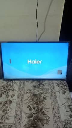 Haier