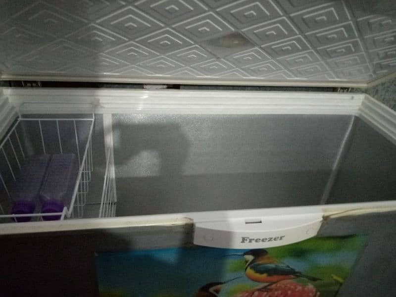 Freezer for sale 1