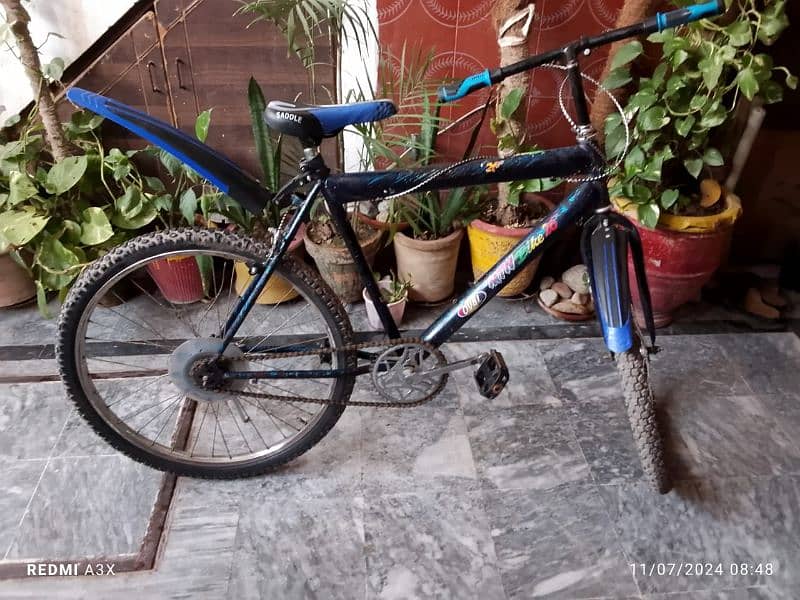 Good condition full size bicycle 2