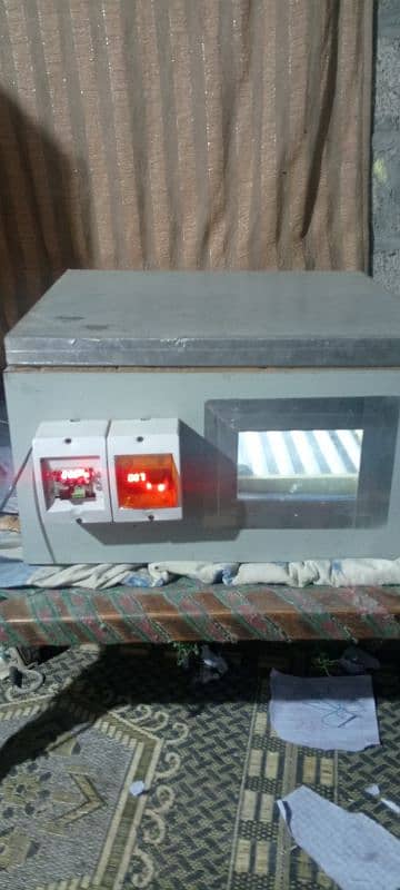 Automatic incubator for sale 0