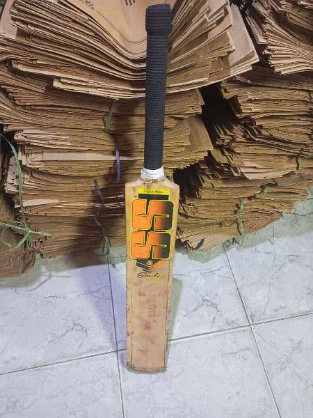 Hard ball cricket kit 1