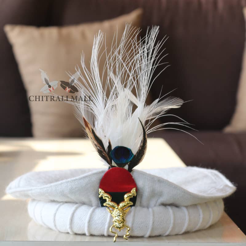 Chitrali Pakool Cap With Markhor And Feather (Free Home Delivery) 1