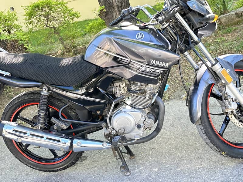 Yamaha YBR 125 2015 1