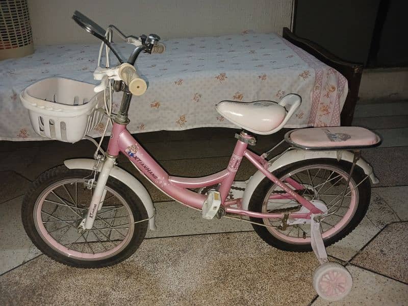 Toddler bicycle 0