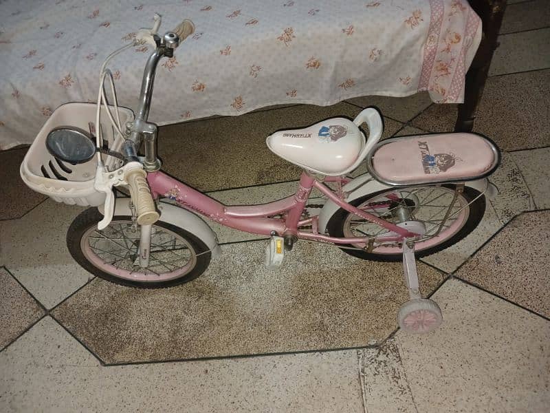 Toddler bicycle 1