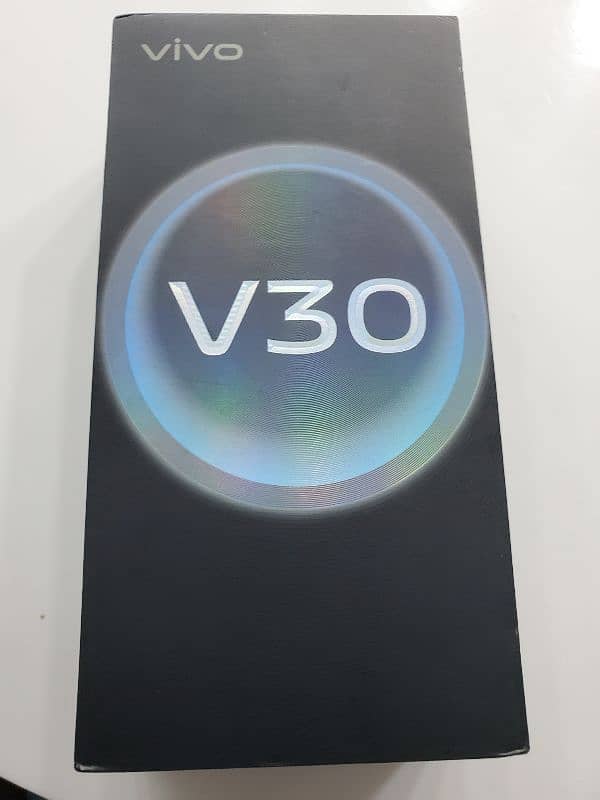 V30 5G 12/256 2