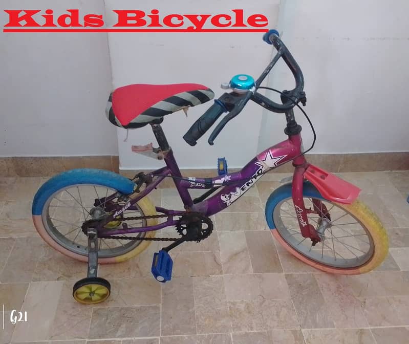 Kids Bicycle / Good Condition / Ready to Use 0