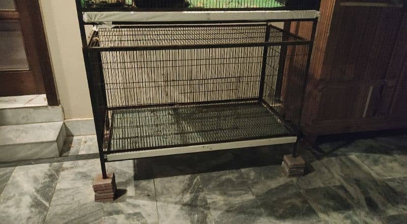 Birds cages 2 single single 4