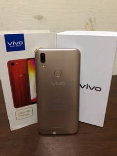 ViVO