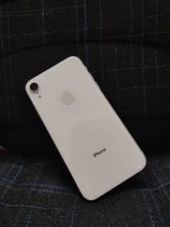 iPhone XR dual PTA Approved