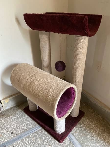 adult cat very attractive cage and accessories for sale 3