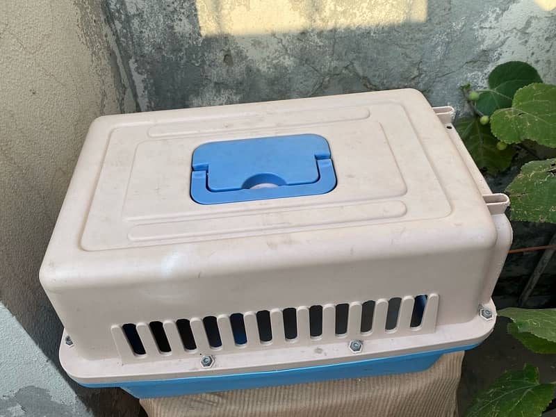 adult cat very attractive cage and accessories for sale 4