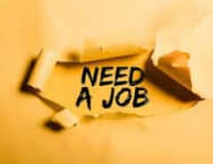 I need job