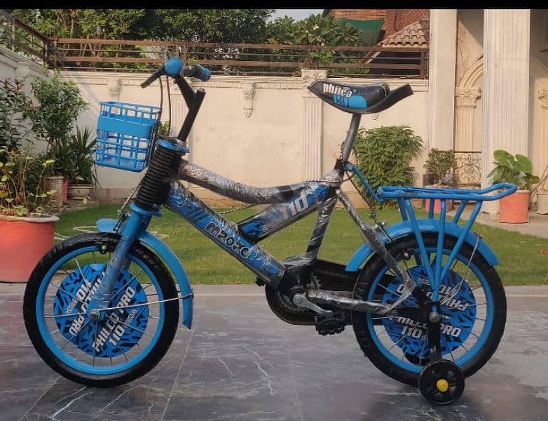 Bicycle for kids 1